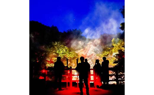 阿寒湖の森ナイトウォーク「KAMUY LUMINA (カムイルミナ)」入場券 大人1枚 体験 アクティビティ プロジェクションマッピング デジタル体験 アイヌ 文化 自然 森林浴 美容 アウトドア 自