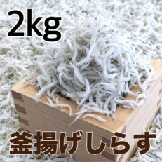 釜揚げしらす2kg(500g×4パック)