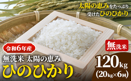 【令和6年産 予約受付】無洗米 岡山県産 ひのひかり 笠岡産 120kg(20kg×6回)《10月下旬-9月下旬頃出荷》農事組合法人奥山営農組合 太陽の恵み