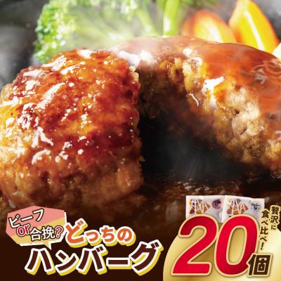 ふるさと納税 福智町 どっちのハンバーグ!?デミグラスソース20個セット
