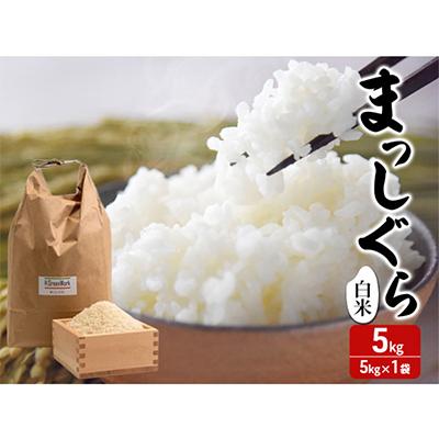 ふるさと納税 鰺ヶ沢町 令和7年産 まっしぐら 白米 5kg 1袋 精米 [53841305]