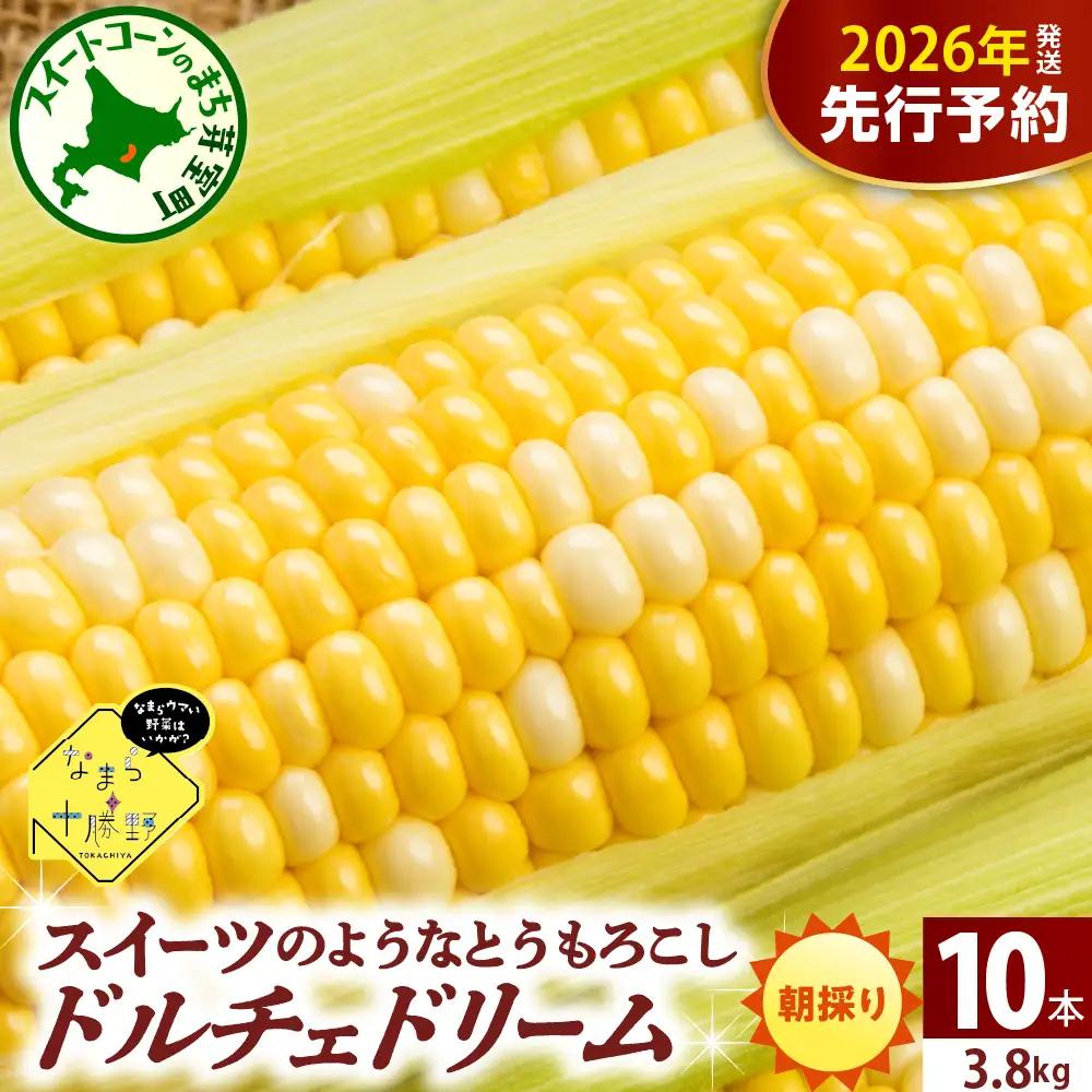 とうもろこし ドルチェドリーム 10本 北海道 芽室町 とうもろこし