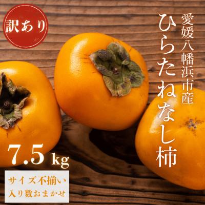 ふるさと納税 八幡浜市 《秋の味覚 種なしで食べやすい》 訳あり ひらたねなし柿 7.5kg【D20-36】