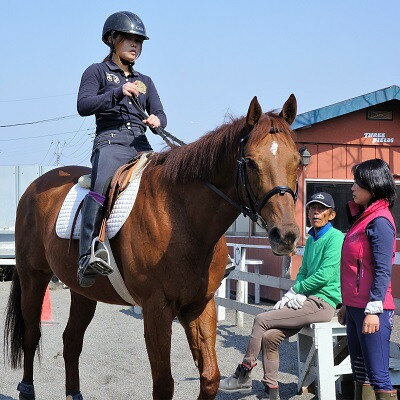 【ふるさと納税】乗馬レッスン　1講習(騎乗時間20分)【1404498】