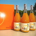 【ふるさと納税】 有田みかんの和α（なごみアルファ）720ml×3本