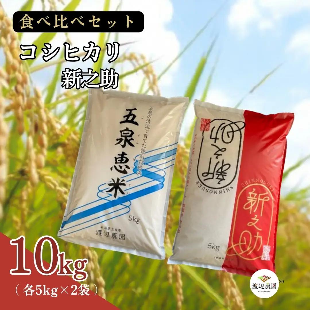【先行予約】令和8年産 新米 食べ比べ 10kg(特別栽培米コシヒカリ5kg・新之助5kg) | 新潟県産 白米 米 五泉市