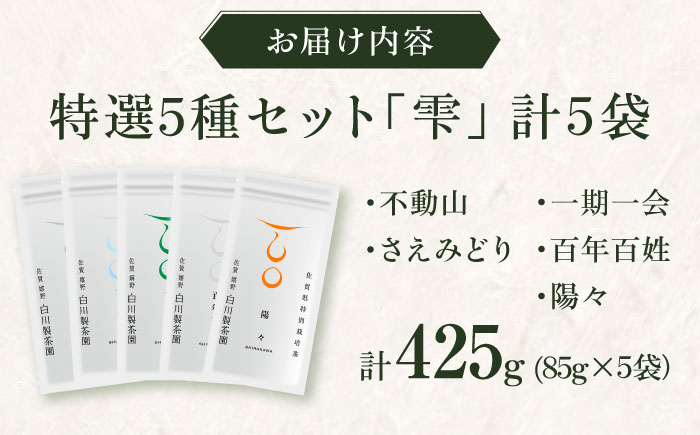 白川家特選5種類詰合せセット 計500g / お茶 日本茶 嬉野茶 緑茶 / 佐賀県 / 白川製茶園 [41AIAB001]