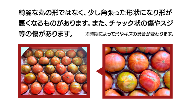 【12/31まで早期予約 特別寄附金額】訳あり 糖度7度以上！フルーツトマト 大箱 約2.6kg × 1箱 （20～35玉/1箱） 2025年3月から発送開始 トマト とまと 野菜[BC040sa]