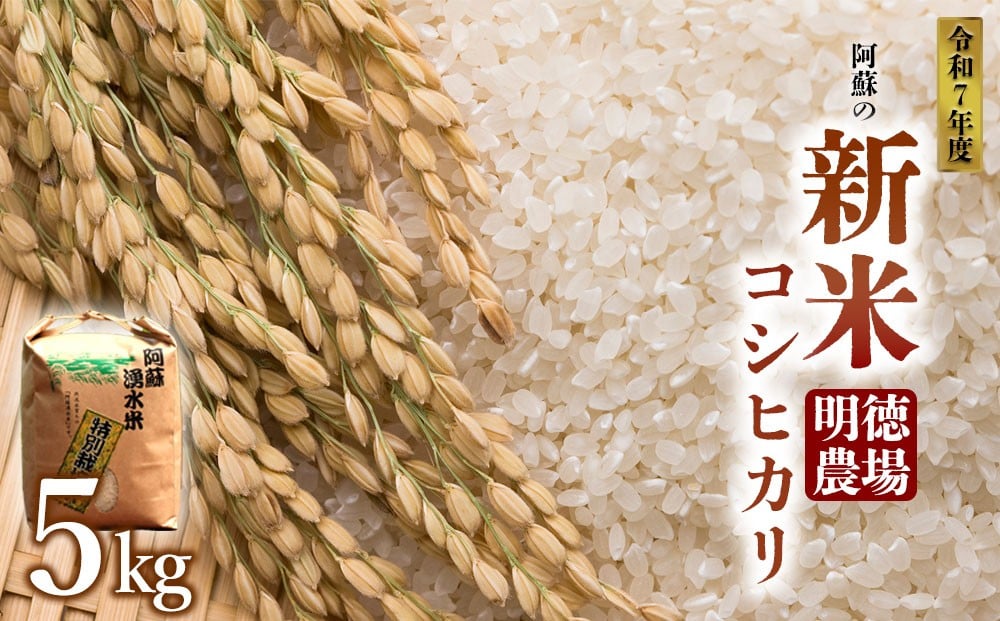 
            【予約】コシヒカリ 令和7年 令和7年度 5kg 白米 明徳農場 減農薬 特別栽培米 米 お米 美味しい 寒暖差 湧き水 お取り寄せ 熊本県 阿蘇市
          