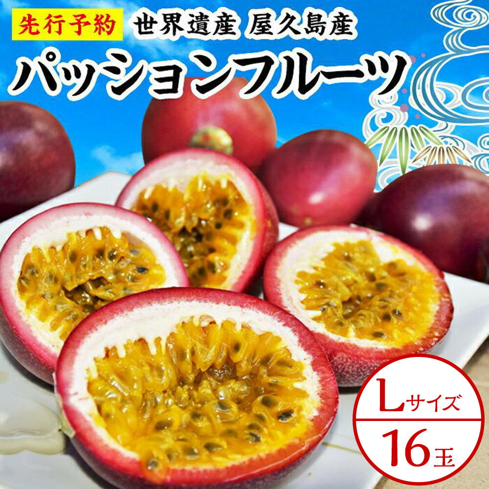 【ふるさと納税】【2026年発送先行受付】絶品パッションフルーツL玉(16玉)“屋久島の恵み”と“愛情”込めて！ | 1.5kg以上 鹿児島 屋久島 屋久島町 ふるさと 納税 お取り寄せ ご当地 フルーツ 果物 くだもの 先行受付 先行予約 期間限定 数量限定