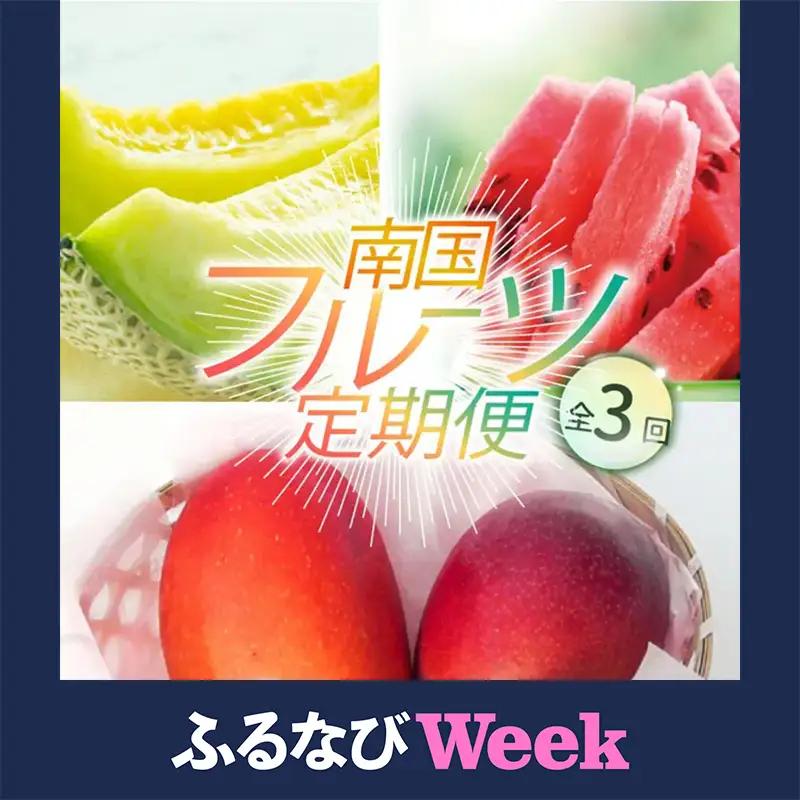 【ふるなびWEEK対象】【年3回 定期便】季節のフルーツセット マンゴー メロン  スイカ マンゴー