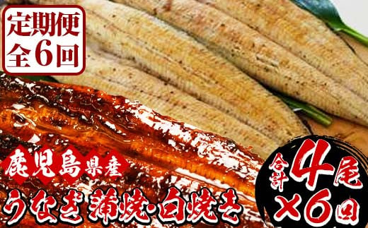 ＜定期便・全6回(毎月)＞国産うなぎ(鹿児島県産うなぎ)の食べ比べ堪能セット(うなぎ蒲焼2尾と白焼き2尾×6回)！国産 国産魚 九州産 鹿児島県産 魚 魚介 鰻 うなぎ ウナギ 蒲焼 蒲焼き 惣菜 冷凍 定期 頒布会【南竹鰻加工】【00-025-18-TK】