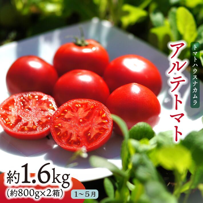 【ふるさと納税】＜アルテトマト 約1.6kg（20-35玉）＞ フルーツトマト 高知県 佐川町 トマトハウスナカムラ 野菜 贈答用 【常温】リピーター多数 高糖度 ギフト 栽培期間中化学農薬不使用 　＜2025年1月～5月頃まで発送＞