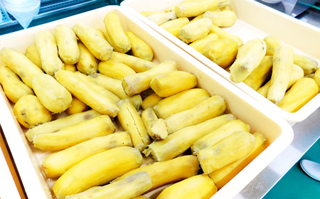 No.858 坂東市産　干し芋　紅はるか　100g×5パック