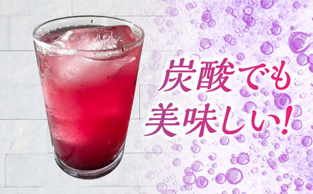 ブルーベリーミルクの素 220ｇ×2個 【あいさいベリーLABO】 季節限定 あいさいベリー デザート[AEBZ001]