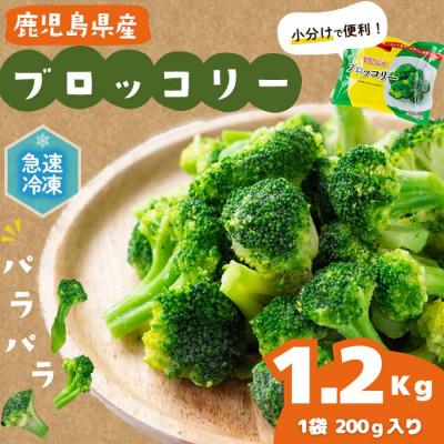 ふるさと納税 志布志市 国産冷凍ブロッコリー200g×6袋(1.2kg)