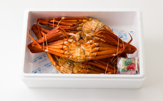 兵庫県香住産 特選釜茹で香住ガニ(紅ズワイガニ)3匹入(約2.2～2.4kg)【9月中旬以降発送】【配送不可地域：離島・北海道・沖縄県・東北・九州】