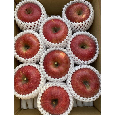 【ふるさと納税】シャキシャキッ!完熟サンふじ 贈答用 約3kg【1558027】