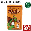 【ふるさと納税】【定期便】【3ヶ月毎2回】カフェ・オ・レ 250ml 24本 計48本（24本×2回） カフェオレ 牛乳 コーヒー 珈琲 乳飲料 らくのうマザーズ ジュース ドリンク 熊本県産 国産 九州 熊本県 菊池市 送料無料