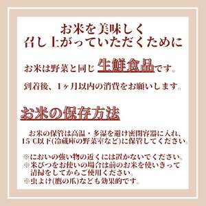 CID21_さがびより白米５kg 【五つ星お米マイスター厳選！】