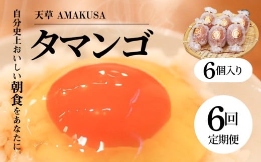 S038-T06_【定期便6回】天草 タマンゴ 6個 卵