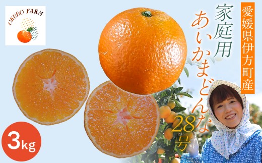 【先行予約】家庭用　あいかまどんな２８号　３kg　※2026年12月上旬から順次発送予定【 ふるさと納税 人気 おすすめ ランキング 柑橘 みかん ミカン フルーツ まどんな あいかまどんな アイカまどんな マドンナ 果物 OKUBO FARM 愛媛県産 家庭用 愛媛県 伊方町 送料無料 】IKTAT016