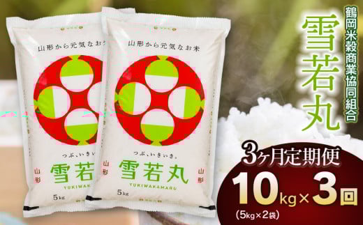 【3回定期便】 令和6年産 雪若丸10kg (5kg×2)×3回 山形県庄内産　鶴岡米穀商業協同組合