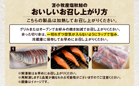 【王子サーモン】塩秋鮭姿切身（半身） 1kg　T041-002 王子サーモン 秋鮭 鮭 さけ しゃけ 切身 おかず 惣菜 魚 お取り寄せ 冷凍 北海道 国産 苫小牧産 苫小牧市 送料無料