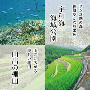【新米】 令和7年産 コシヒカリ 10kg 新米 愛媛県 愛南町 青果市場