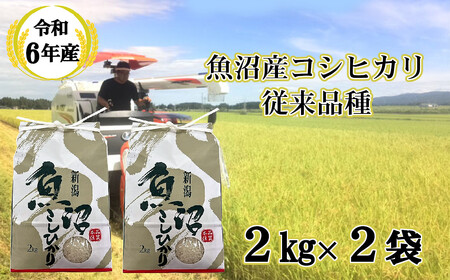 令和7年産 昔ながらの魚沼産コシヒカリ 従来品種 精米 4kg（2kg×2袋）農園ビギン/コシヒカリ コシヒカリ コシヒカリ コシヒカリ
