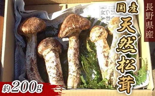 3003 国産 天然 長野県山形村産 マツタケ 約200g