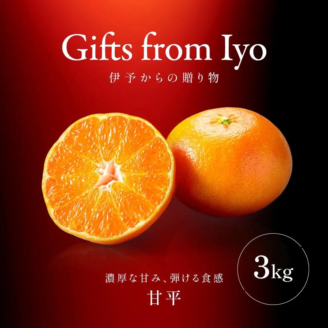 【2027年2月上旬より順次発送】甘平 約3kg M～3Lサイズ混合｜B553