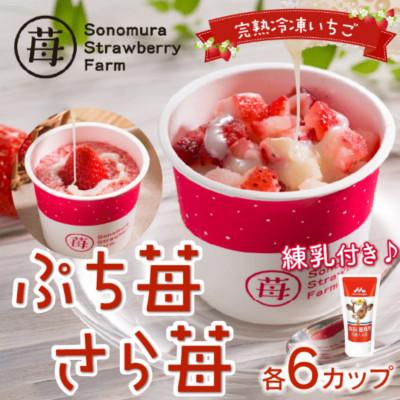 ふるさと納税 宇土市 熊本県宇土産 完熟冷凍いちご「ぷち苺・さら苺」6x6カップ 練乳付き 園村苺園