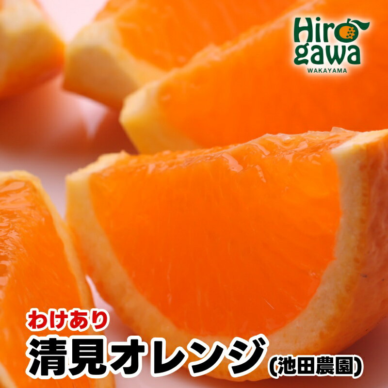 家庭用清見オレンジ【光センサー食頃出荷】【樹上完熟きよみオレンジ・清見タンゴール・清美】【わけあり・訳あり】 ※2024年2月上旬〜4月上旬頃に順次発送予定 ※北海道・沖縄・離島への配送不可 //dekopon