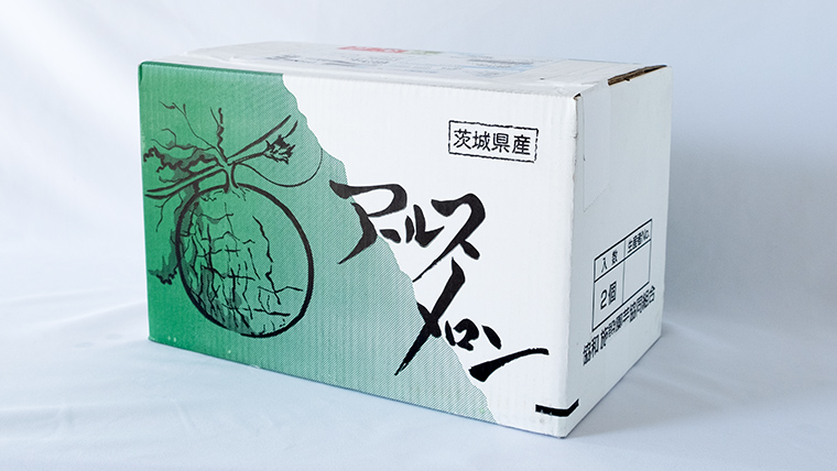 【2025年8月下旬発送開始】 季節 限定 ！甘さ満点 アールスメロン 2玉 入箱 果物 フルーツ 農家直送 産直 青肉メロン 特産品 マスクメロン メロン くだもの 茨城 [BC045sa]