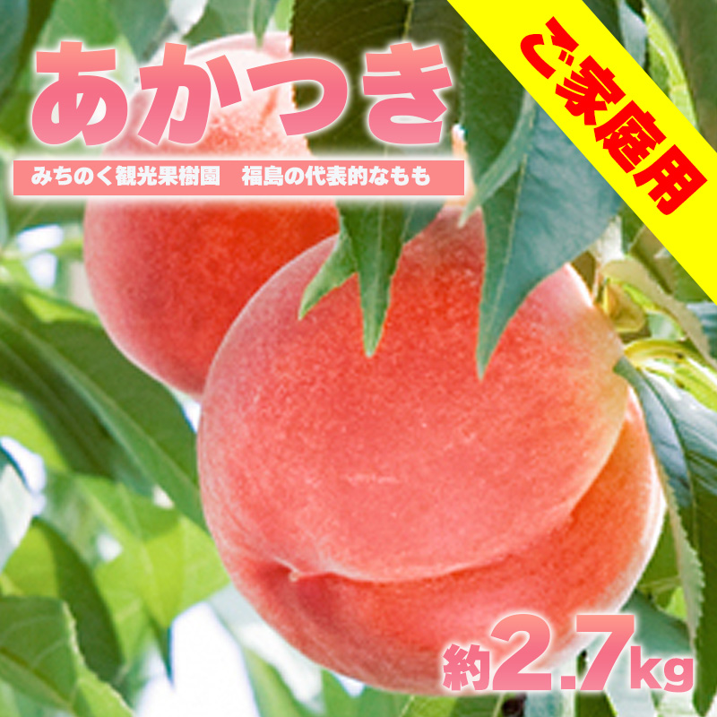 No.2351もも「あかつき」ご家庭用　約2.7kg【2025年発送】