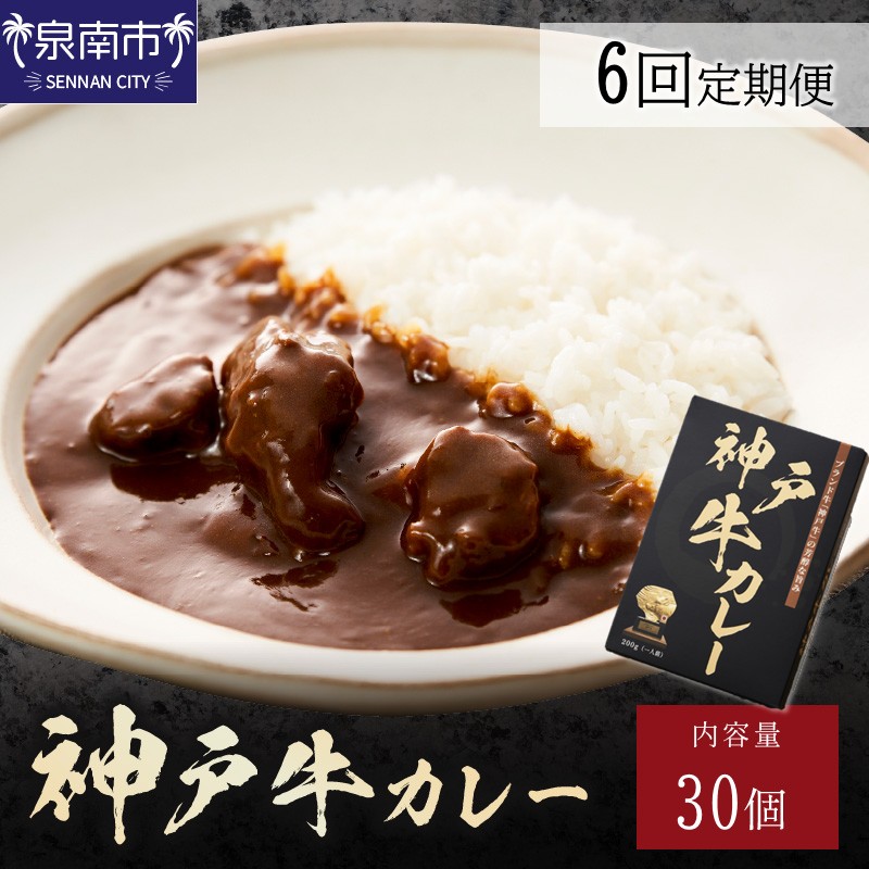 神戸牛カレー200g×30個セット 6ヶ月定期便【108A-007】