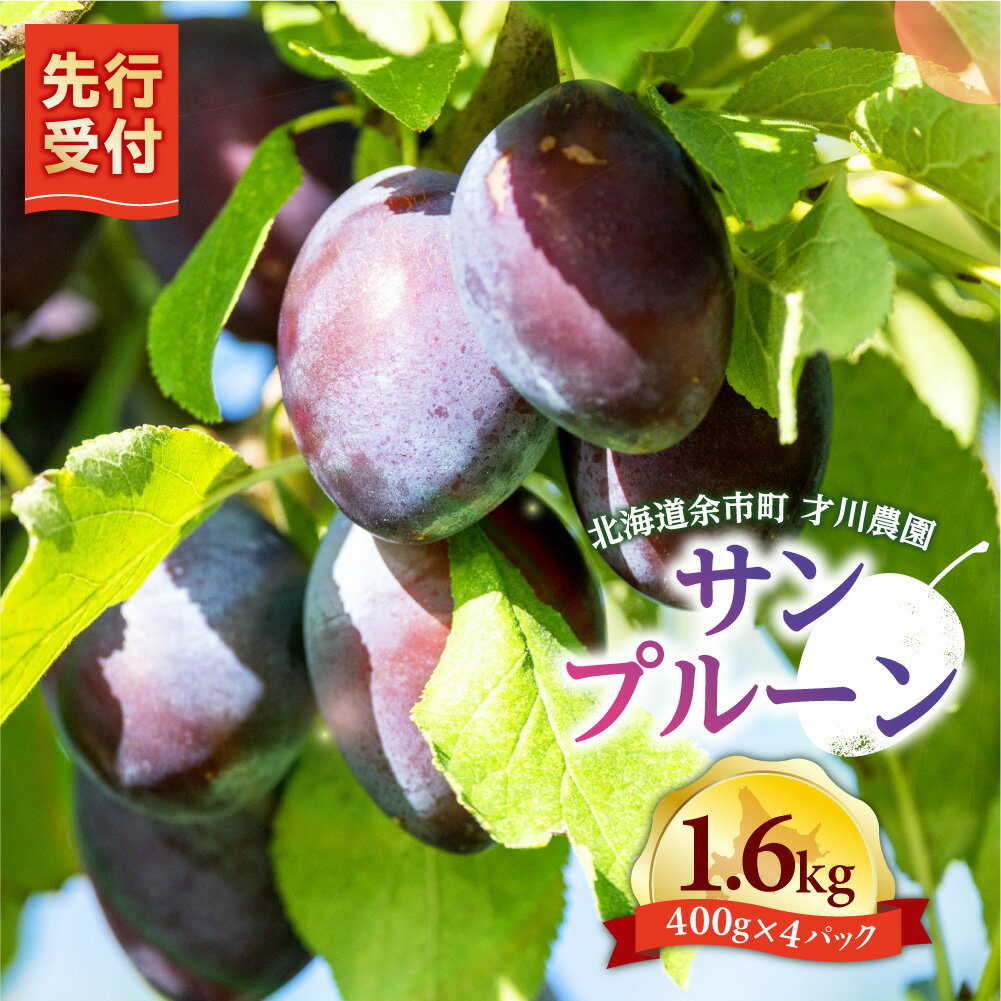 【ふるさと納税】【先行予約：2026年9月上旬以降発送】北海道余市産 サンプルーン 1.6kg 400g×4パック 才川農園 すもも プラム 完熟 鉄分 食物繊維 ビタミン 美容 健康フルーツ 送料無料