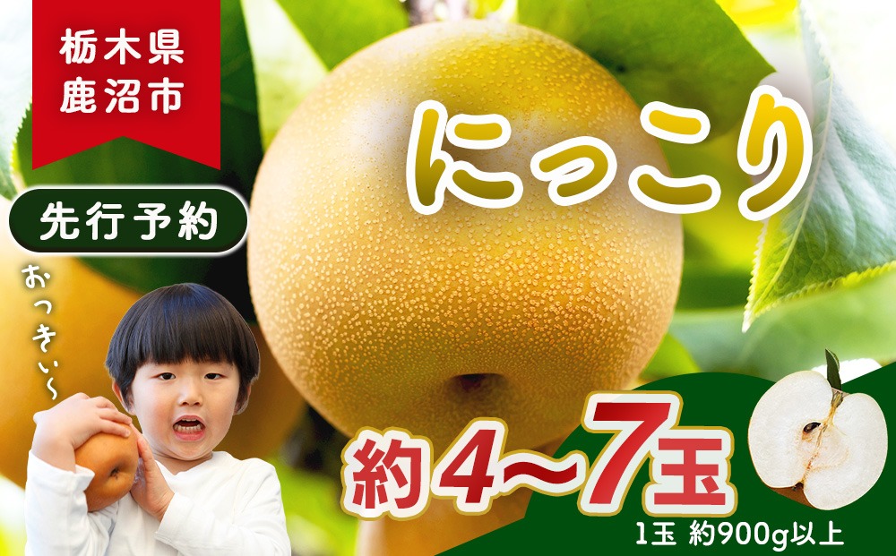 【先行予約】梨(にっこり) 4玉～7玉入り×1箱 (4.5kg以上) ※2026年10月上旬～11月下旬頃に順次発送予定