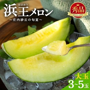 SB0918　庄内砂丘の旬夏　「浜王メロン」　約5kg(青肉/3～5玉入) 