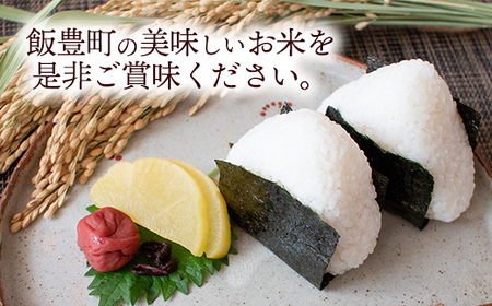 人気のブランド米　はえぬき　白米　10kg（飯豊町産）(R7年産）【価格改定】