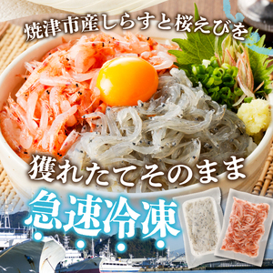 【定期便 3回】 焼津産生しらす(100g×3) 生桜えび(70g×3個) (a30-221)