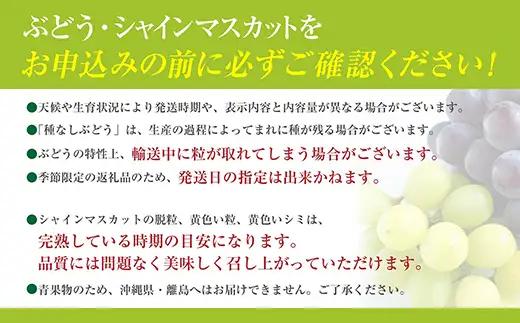 【2026年発送分】【訳あり】シャインマスカット  1.8kg以上 (3～6房程度) 　 わけあり 訳アリ 訳あり品 シャイン マスカット ぶどう ブドウ 葡萄 徳用 家庭用 ご家庭用 旬 くだもの 