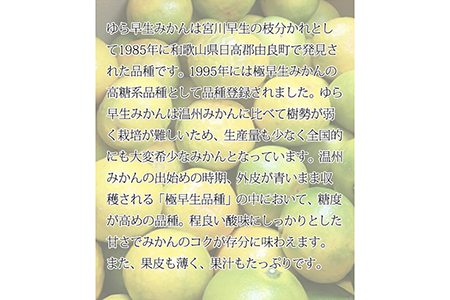 紀州和歌山有田産ゆら早生みかん 5kg ※2024年10月中旬〜10月下旬頃に順次発送予定