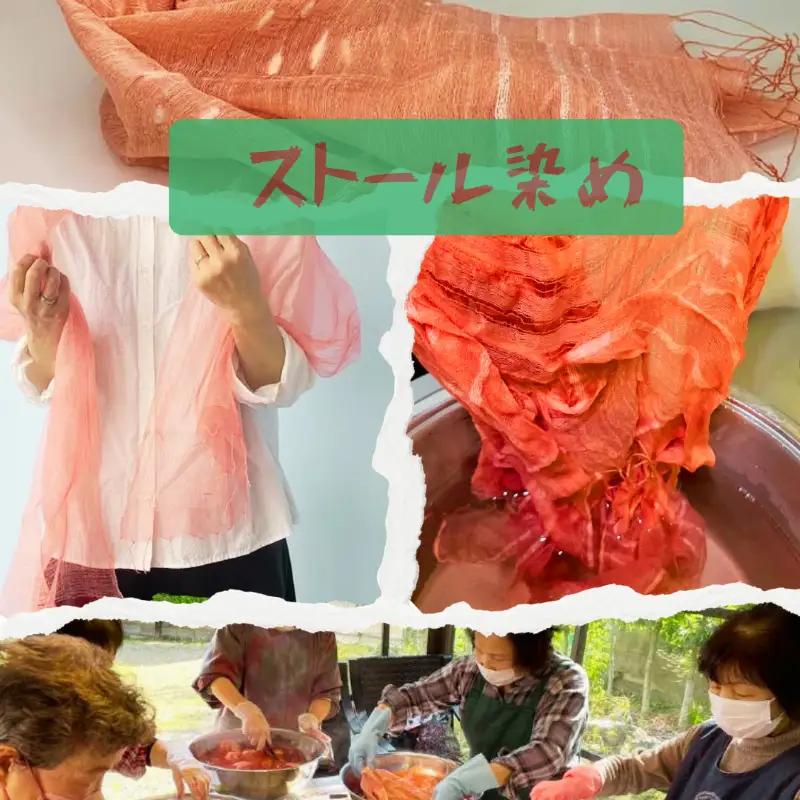草木染め体験 茜染め ストール ペアチケット 【 茜染め 】