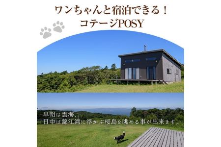 乗馬の外乗付！1泊2日宿泊券（1名様分） 乗馬経験者向け騎乗チケット 体験 レジャー アクティビティ 乗馬 馬 宿泊 宿 【霧島アート牧場】_y075
