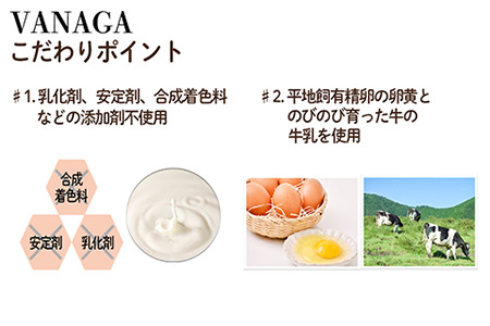 5種類のアイスクリーム12個入り［木次乳業／VANAGA］バニラアイスクリーム ストロベリーアイスクリーム 抹茶あずきアイスクリーム ビターチョコアイスクリーム ブルーベリーアイスクリーム