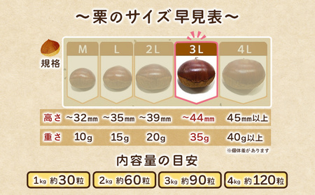 ＜大粒生栗 3Lサイズ（約4kg）＞大玉 甘い 栗 マロン くり 和栗 栗ごはん モンブラン 栗きんとん 栗まんじゅう 甘露煮 スイーツ ケーキ 洋菓子 和菓子 お菓子 秋 味覚 産地直送 城川ファク