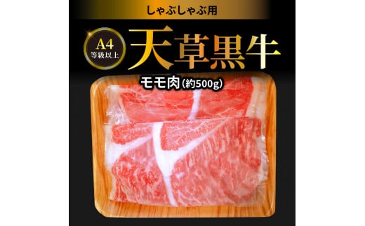 
S074-014_天草黒牛 しゃぶしゃぶ用 もも肉 約500g A4等級以上～
