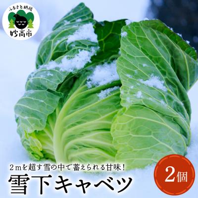 ふるさと納税 妙高市 雪下キャベツ【新潟県妙高市】